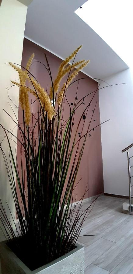 B&B Filieri سانتا ماريا أل بانيو المظهر الخارجي الصورة